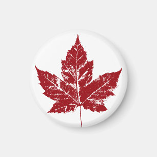 Canada Souvenir Fridge Magnet Canada Maple Leaf Magneet