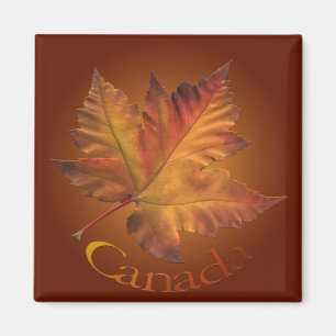 Canada Souvenir Fridge Magnet Maple Leaf Magnet Magneet