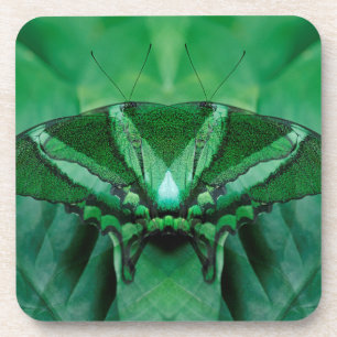 Canada, Victoria, Victoria Butterfly-tuinen Bier Onderzetter