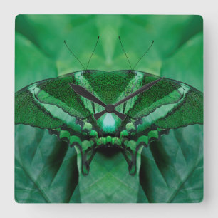 Canada, Victoria, Victoria Butterfly-tuinen Vierkante Klok