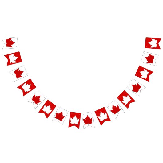 Canada Vlag Bunting Banners Canada Dag Decoraties (Alle)