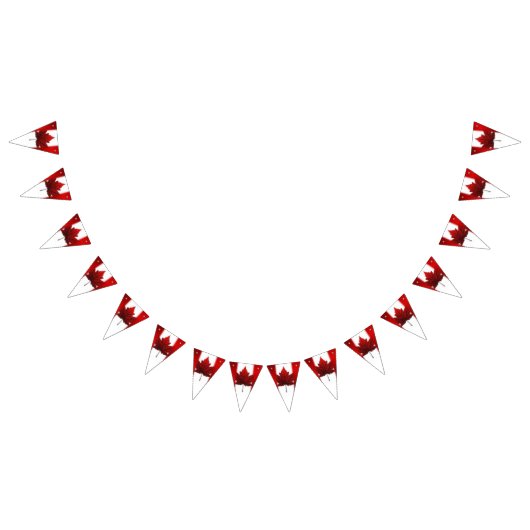 Canada Vlag Bunting Banners Canada Dag Decoraties (Alle)