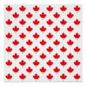 canada - vlaggensymbool : modelblad perfect poster (Voorkant)