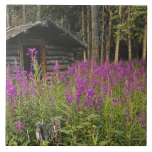Canada, Yukon, Ross River gebied, Verlaten hut Tegeltje