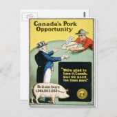 Canada's Pork Opportunity Briefkaart (Voorkant / Achterkant)