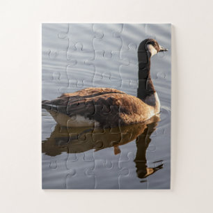 Canadees gans zwemmen op het meer legpuzzel
