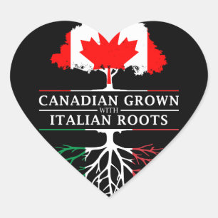 Canadees Gegroeid met Italiaanse Roots Italië Desi Hart Sticker