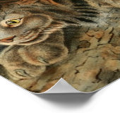  Canadees Lynx Illustratie Poster (Hoek)