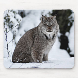 Canadees Lynx in de sneeuw Muismat