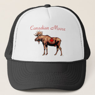 Canadees Moose Pet