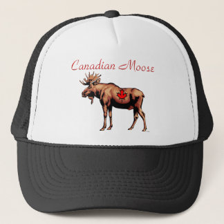 Canadees Moose Pet