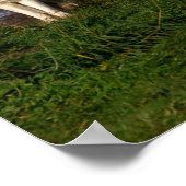 Canadees Poster van hout/houtwolf (Hoek)