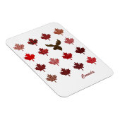Canadese aple Leaf en Moose Magneet (Rechterzijde)