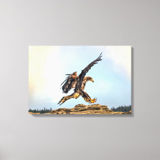 Canadese Bald Eagle Landing Canvas Afdruk