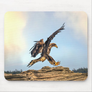 Canadese Bald Eagle Landing Muismat