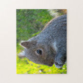 Canadese eekhoorns legpuzzel (Verticaal)