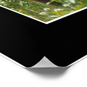 Canadese Elk (Wapiti) in het Jasper National Park Poster (Hoek)