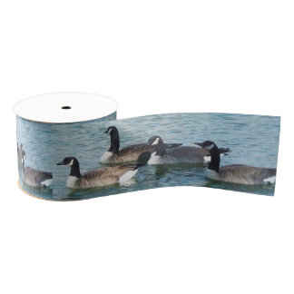 Canadese gans Canada Goose Craft Ribbon Grosgrain Lint