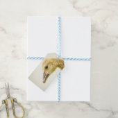 Canadese gans (Gosling) Cadeaulabel (Met Touw)