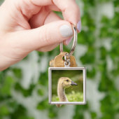 Canadese gans (Gosling) Sleutelhanger (Hand)