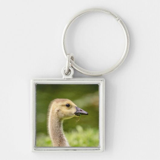 Canadese gans (Gosling) Sleutelhanger (Voorkant)