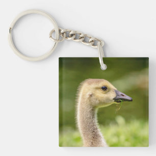 Canadese gans (Gosling) Sleutelhanger