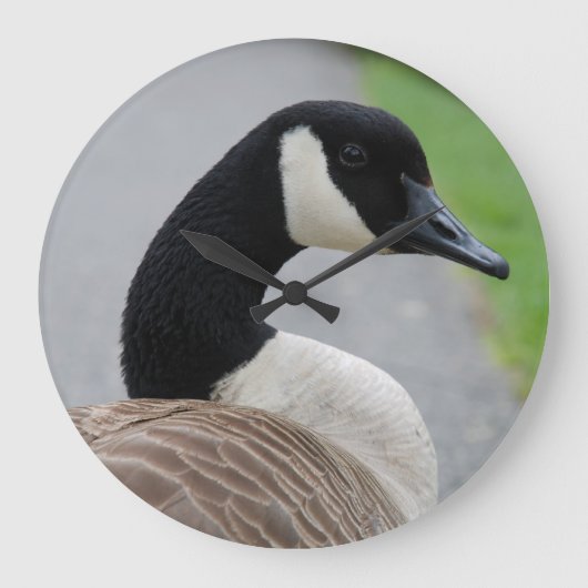 Canadese gans grote klok (Voorkant)