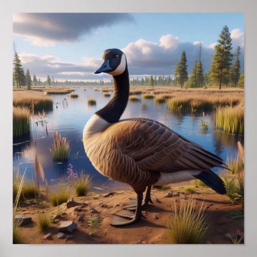 Canadese gans in rustige wetlands poster (Voorkant)