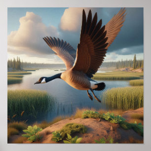 Canadese gans in rustige wetlands poster