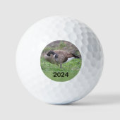 Canadese gans in Texas Golfballen (Voorkant)