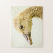 Canadese gans (Kuiken) Legpuzzel (Verticaal)