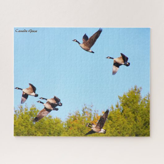 Canadese gans legpuzzel (Horizontaal)