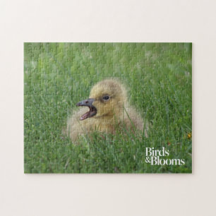 Canadese gans legpuzzel