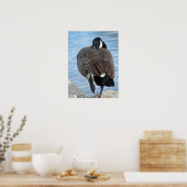 Canadese gans poster (Keuken)