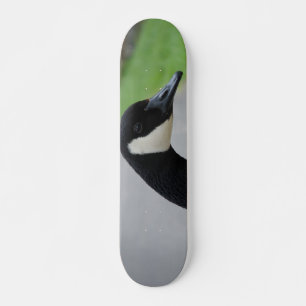Canadese gans skateboard