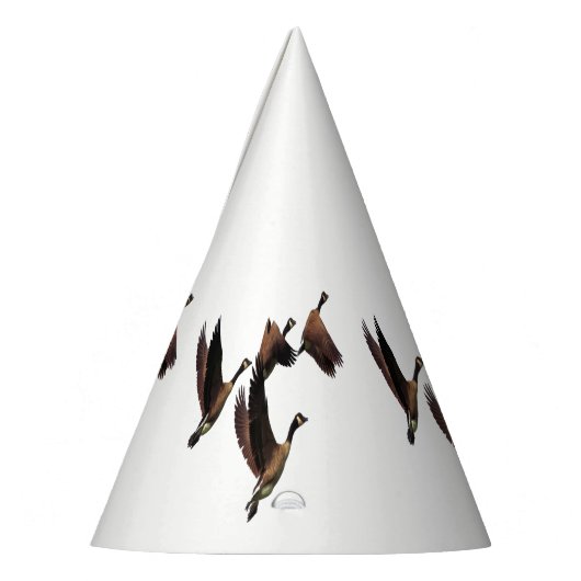 Canadese ganzen die in een kinder ontwerp van een feesthoedjes (Links)