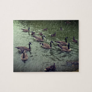 Canadese ganzen en Mallard Ducks Jigzaag Puzzle Legpuzzel