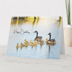 Canadese ganzen & Goslings - Verjaardag Kaart