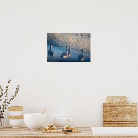 Canadese ganzen in het Refuge Poster (Keuken)