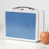 Canadese ganzen in vlucht (In situ)