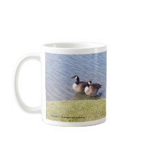 Canadese ganzen langs de Ottawa-rivier