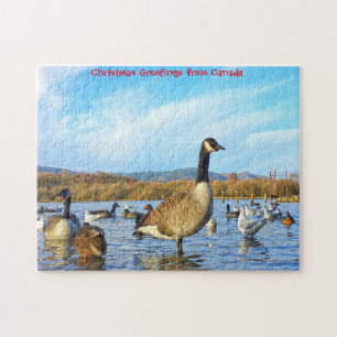 Canadese ganzen. Legpuzzel