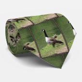 Canadese ganzen stropdas (Opgerold)