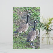 Canadese ganzenfamilie briefpapier (Staand voorkant)