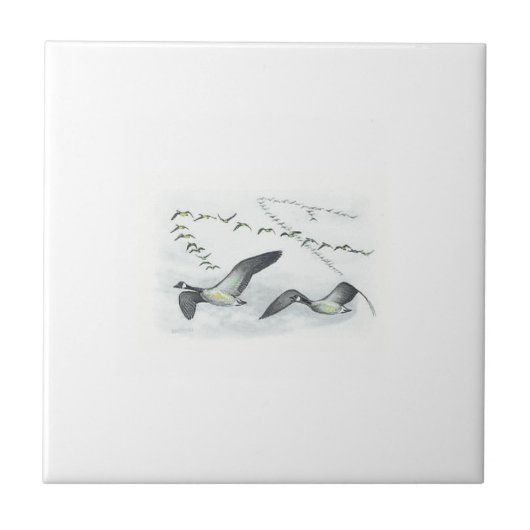 Canadese Gese Tile. Tegeltje (Voorkant)
