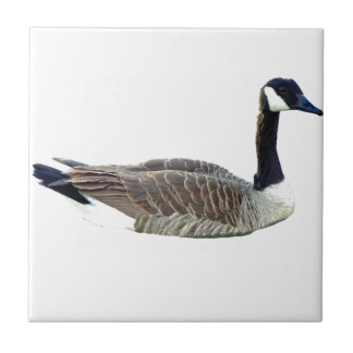 Canadese Goose Tile Tegeltje