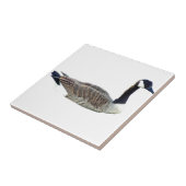 Canadese Goose Tile Tegeltje (Zijkant)