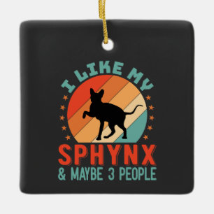 Canadese haarloze Sphynx Kat Eigenaar Humor Keramisch Ornament