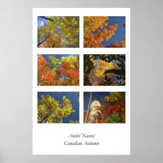 Canadese herfst poster