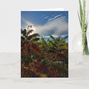 Canadese herfstkleuren Blank Kaart